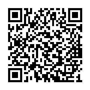 他一手扯着我的胳膊一手拿着相机就把我往车拽二维码生成