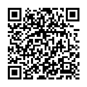 他一方面把自己所能派遣出来的所有可用之人全都派出去寻找二维码生成