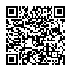 他一方面要静下心来捋一捋从郑天的记忆中复制的信息二维码生成