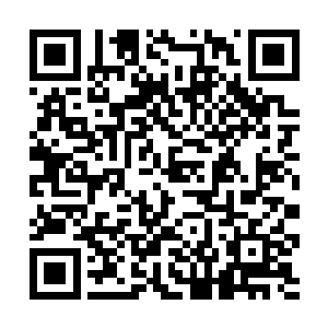 他一时间还看不清楚双峰县委这个圈子里的真实情况二维码生成
