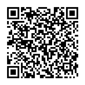 他一点也不觉得以他筑基中期的修为成为张萧晗的队员有什么不好二维码生成
