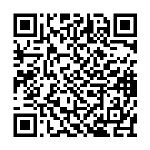 他一点都不担心这些人会发现他是一张陌生脸孔二维码生成