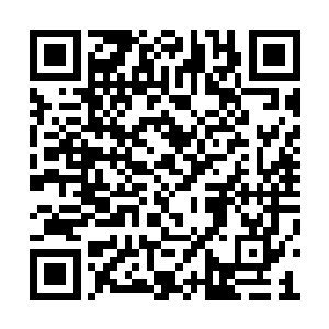他一直以为张潇晗会永远直面她将要面临的一切二维码生成