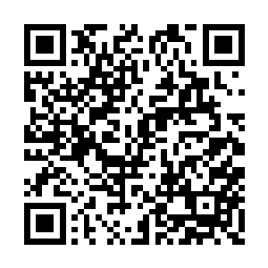 他一直以为这禁地是千叶宗历代宗主的埋骨之地二维码生成