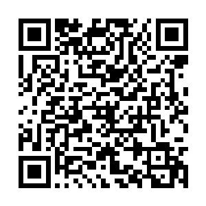 他一直在寻找追杀的人不但大摇大摆出现在他面前二维码生成