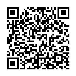 他一直引以为豪的铁头被一层一层的纱布缠成了白色的粽子二维码生成