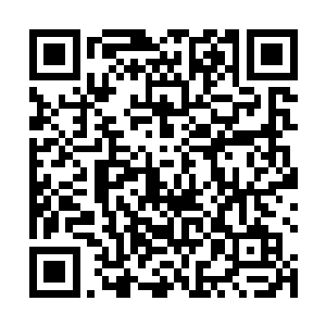 他一直持续不断地在吸收那世界果散发出来的世界伟力二维码生成