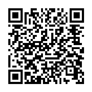 他一直没有修炼过一门适合自己的隐匿神通法术二维码生成
