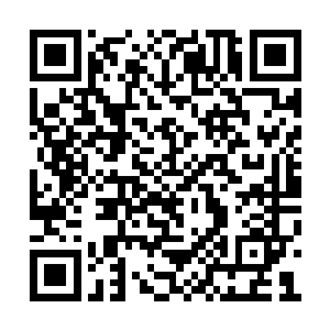 他一直都是以模糊的政治态度让各方摸不着头脑二维码生成