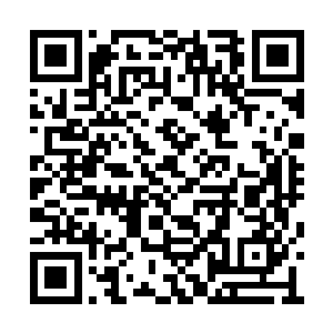 他一脸无奈的指了指身边的那位身材窈窕的女子二维码生成