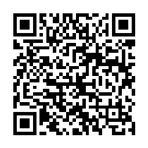他一脸激动的对正坐在主控室屏幕前的奥利维亚大声道二维码生成