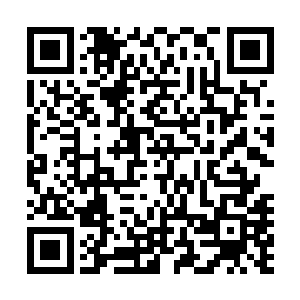 他一边休息一边将心神沉浸入南门大军交给他的那个玉简中二维码生成