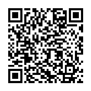 他万万没有想到张洛书竟然会把那半根羽毛送给许紫烟二维码生成