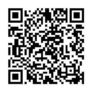 他万万没有想到眼前的黑衣少年居然会拥有如此快的速度二维码生成