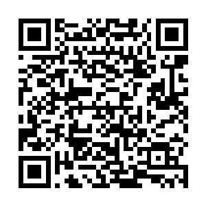 他上场之前他的教练嘱咐他一旦倒下就千万不要站起来二维码生成