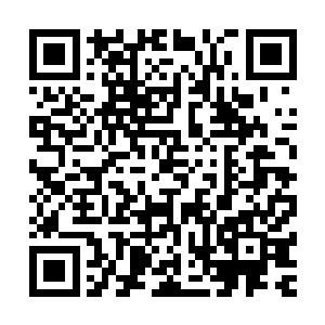 他上电视节目的话也是设计好的……他们不会去想合不合逻辑二维码生成