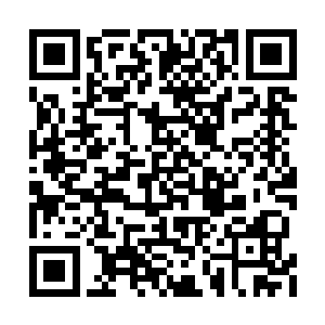 他下山第一时间肯定先把凌菲弄回来给雪狼看病二维码生成