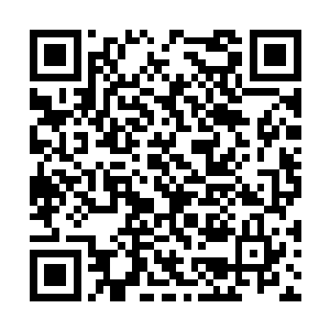 他不仅将人域各地的顶级宝贝都聚集在了天空之城二维码生成