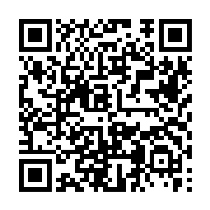 他不会对埋藏在生命之树下面的天地玄石视而不见二维码生成