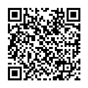 他不会费太多口舌去说服这些人跟自己一起走沼泽二维码生成