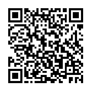 他不会这么一会儿的功夫就把二十个患者都看完了吧二维码生成