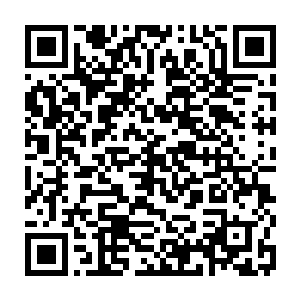他不信这些才刚刚进入五方盟修行的天才会是他们这些老一辈天才的对手二维码生成
