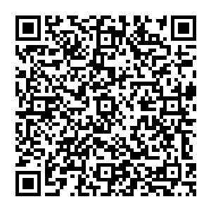 他不停的咳嗽尽管伤口在以肉眼可见的速度恢复可他嘴角的鲜血依旧止不住的流触目惊心各大准圣极限强者震撼二维码生成