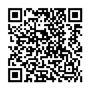 他不奢望没有真正生死相搏经验的真妙能赢苏孟二维码生成