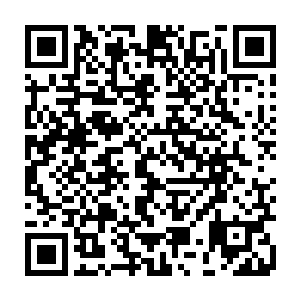 他不想别人贴狂妄的标签在自己胸前――尽管他背后已经贴满了狂妄的标签二维码生成