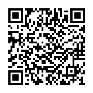 他不想放过任何一个企图颠覆自己法则正统的人二维码生成