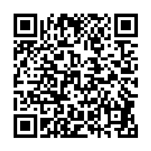 他不敢将东方家主逼得太死就是怕那个人出现了什么变动二维码生成