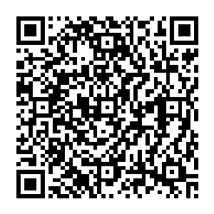 他不敢置信的看着那原本雄赳赳气昂昂准备进攻的武器在最为重要的时刻再次恢复到软趴趴二维码生成