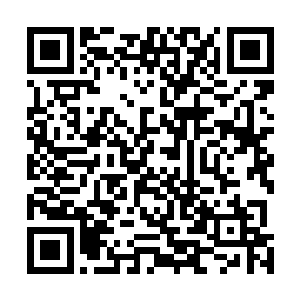 他不敢肯定如果自己吼出这句话之后会带来什么样的后果二维码生成