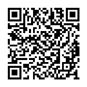 他不敢说眼前的这个蜘蛛精就不是许紫烟的妖宠二维码生成