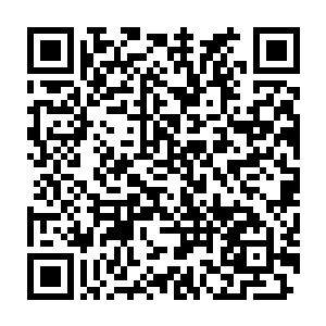 他不明白贵为沧澜宗一宗之主的言法随为什么老老实实地跟着许紫烟二维码生成