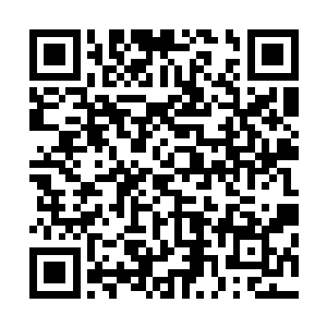 他不是特别明白亚德里恩先生为什么要自己那么照顾这小子二维码生成