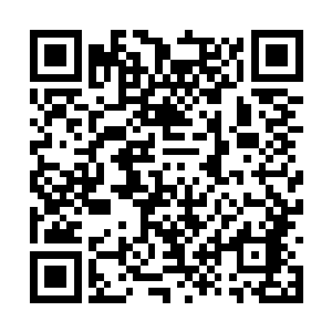 他不是说这个世界上再也没有其他的魔形术士了吗二维码生成