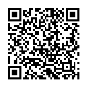 他不由得为一开始在丽娘面前夸下海口而有些懊悔二维码生成