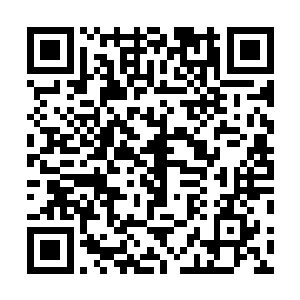 他不由得想起了一句经典的电影台词――成年人的世界里二维码生成