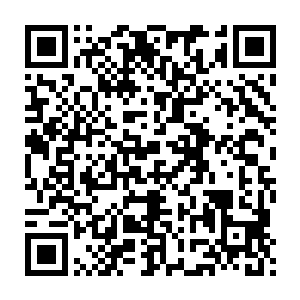 他不相信一个堂堂的七劫虚神境界的高手会有时间在这个地方故作高深二维码生成