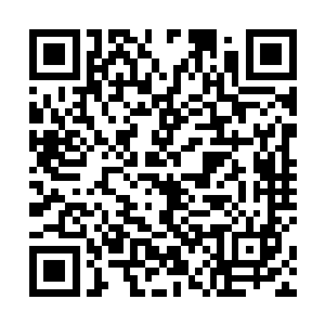 他不相信吃了那样大亏的乌溪族会派这样人来靠近他们二维码生成