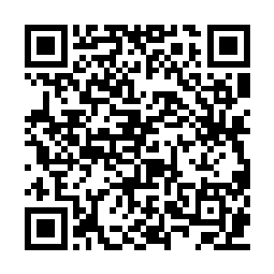 他不相信这个世界上没有别的办法拯救风烈四人二维码生成