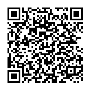 他不知道他桃花眼里闪烁出危险而又高傲的光芒的情景是多么美丽二维码生成