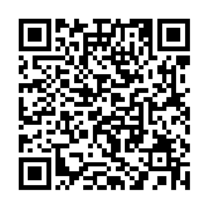 他不知道双刀假面是否已经察觉到了是他在通风报信二维码生成