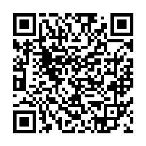他不知道如果那天道符箓蔓延到自己全身会是一个什么后果二维码生成