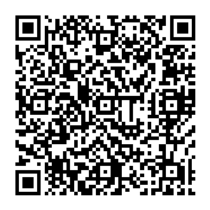 他不知道眼前这个恐血的人为什么在整个人浸染在血液里的时候竟然能够爆发出这么强大的力量二维码生成