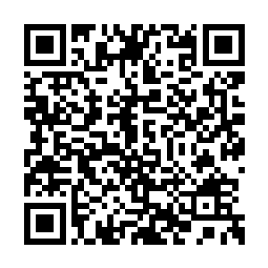 他不知道自己刚才的一番言论约瑟夫是否买账了二维码生成