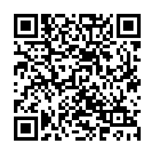 他不知道自己应不应该把单顿也给拉到这件事中来二维码生成