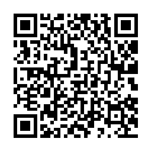 他不知道自己能活着把小杰布从虎口救出来的几率有多大二维码生成