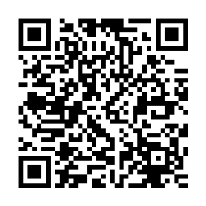 他不确定他这只小蝴蝶是不是在无形之中开始影响莱昂纳多了二维码生成